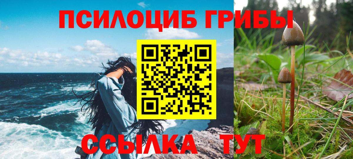 Галлюциногенные грибы мухоморы Ногинск