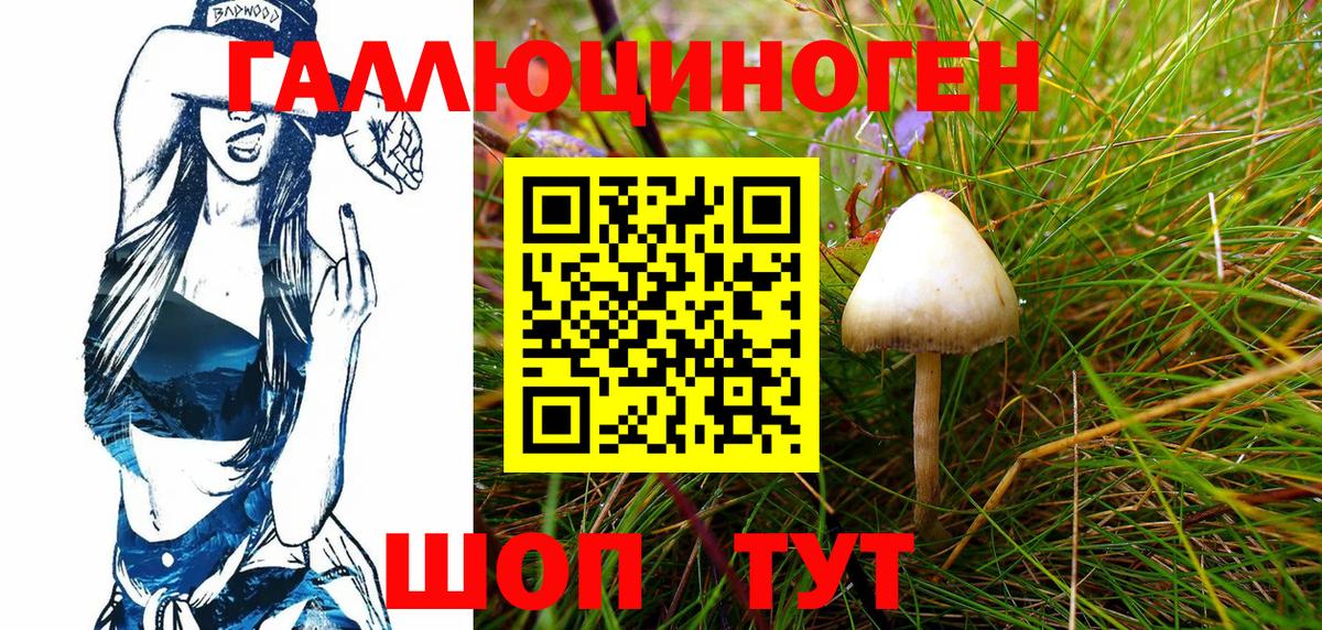 дарнет шоп  Галлюциногенные грибы Psilocybine cubensis  Галлюциногенные грибы GOLDEN TEACHER  Вход с VPN  Ногинск 